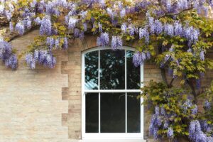 Double Glazing Windows Brackenwood Windows Sliding Sash Window Surrounded By Wisteria
